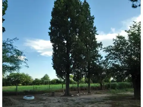 V. Dolores. Córdoba 2 3 Has