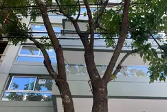 Fitz Roy 1400 de  1 y 2 Dormitorios