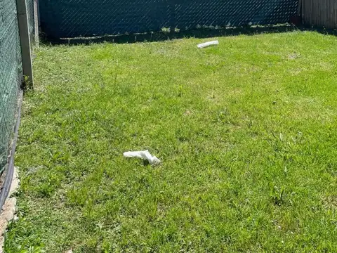 Alquiler por 12 o 24 meses