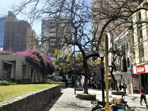Ayacucho 100