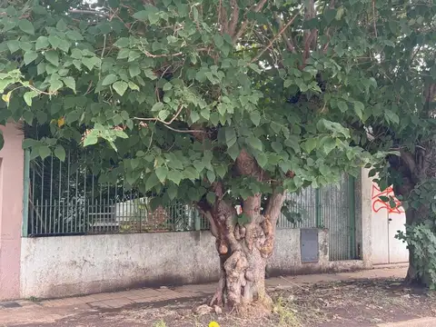 Casa en Venta en Berazategui, USD 125.000