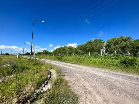 Via Aurelia Manzana 15