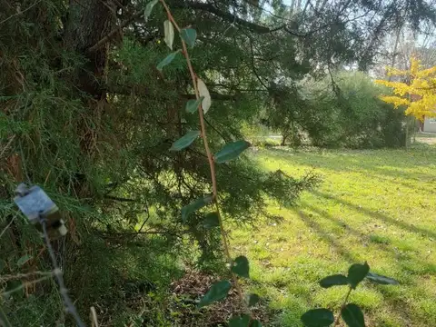 Terreno en Venta en Los Tres Coniles, USD 40.000