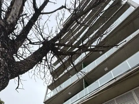 Av Pellegrini al 3000