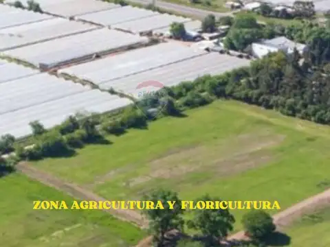 La Plata, Buenos Aires, Argentina