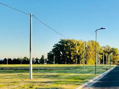 31 entre 505 y  506