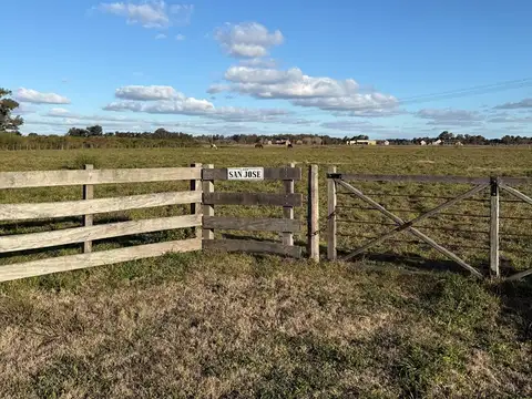 Terreno Emp. Rural  en Venta en Zárate, G.B.A. Zona Norte, Argentina