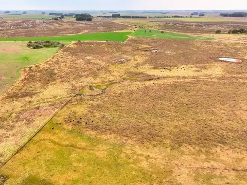 Venta 37 hectáreas próximo a Ruta 5