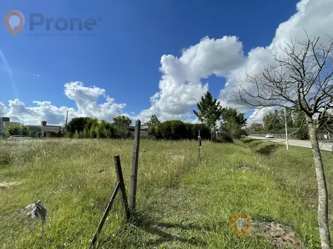 Terreno en Venta 33  mts Fondo