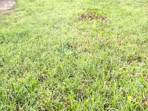 Ramal Pilar. Los Lagartos CC 100