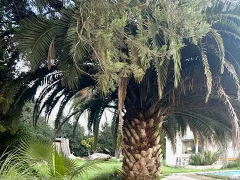 Ramal Pilar. Los Lagartos CC 100