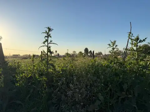 Terreno en Venta en Centro  - Zárate, USD 250.000