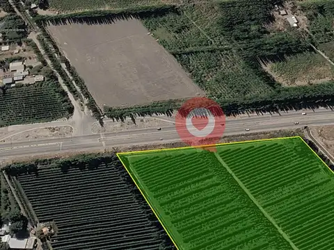 Chacra 10 has sobre ruta 7 en Centenario