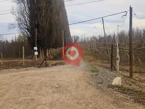 Chacra 10 has sobre ruta 7 en Centenario