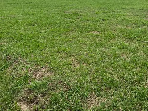 Lote Interno En Barrio Privado Greenville A86