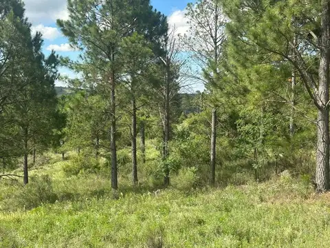 Terreno en Venta en San Clemente, USD 185.000