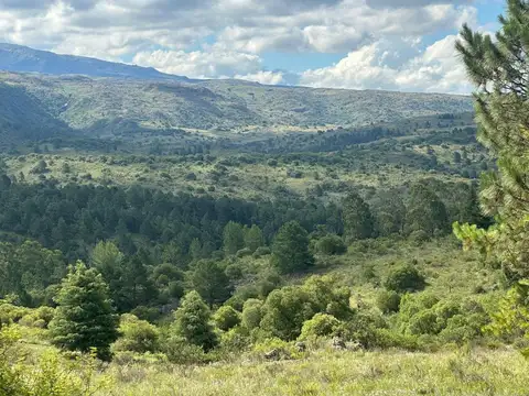 Terreno en Venta en San Clemente, Santa María