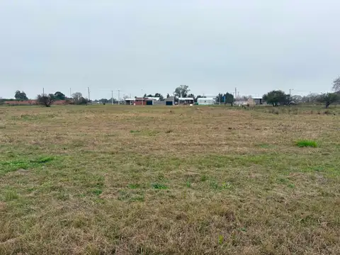 VENTA DE UNA HECTAREA EN NELSON