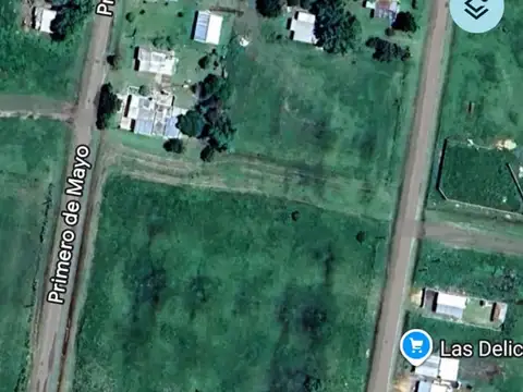VENTA DE UNA HECTAREA EN NELSON