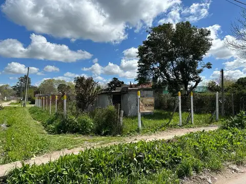 Gordillo 3000