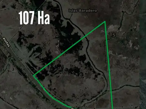 Campo en venta - 2302 Hectáreas - Baradero