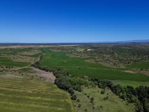 Ruta Provincial S271