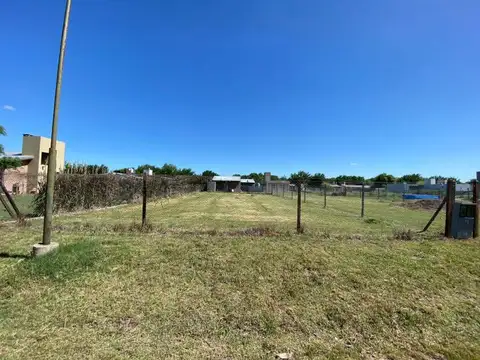 Menchaca 2000