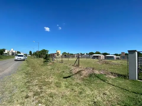 Menchaca 2000