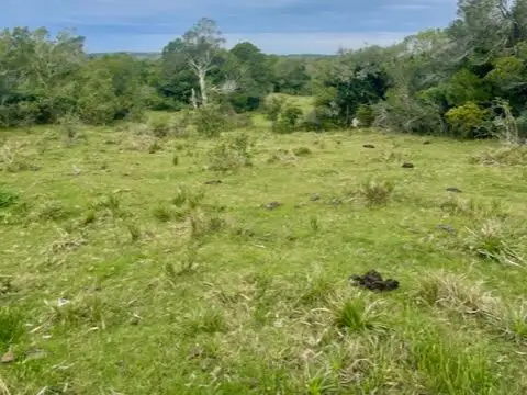 CAMINO DE LA SIERRA GARZON