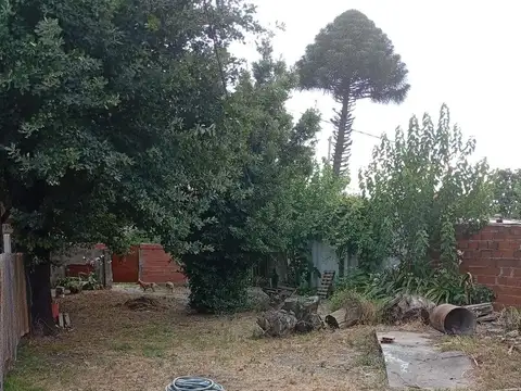 Mantovani al 400
