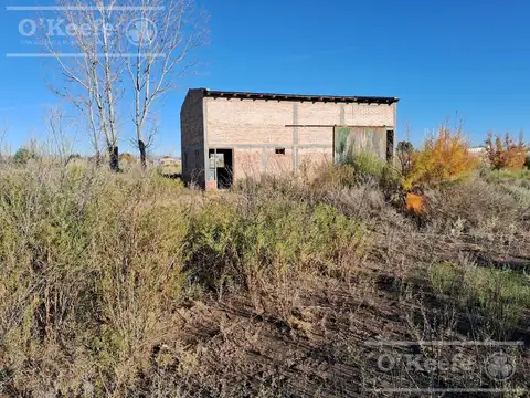 Oportunidad  VENTA  de 2 Fincas aledañas  para Horticultura , Fruticultura,Forrajeras  , Turismo 7,6+8,2   has   Cañada Seca ,San Rafael, Mendoza