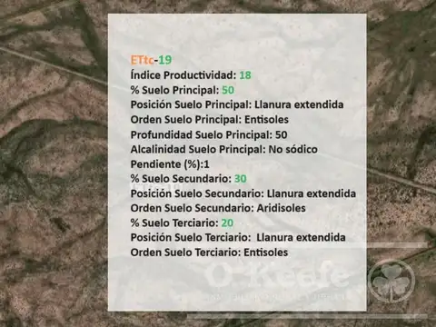 Oportunidad  Venta de 2 Fincas aledañas en Cañada Seca , San Rafael , Mendoza. Frutihorticola, Forra