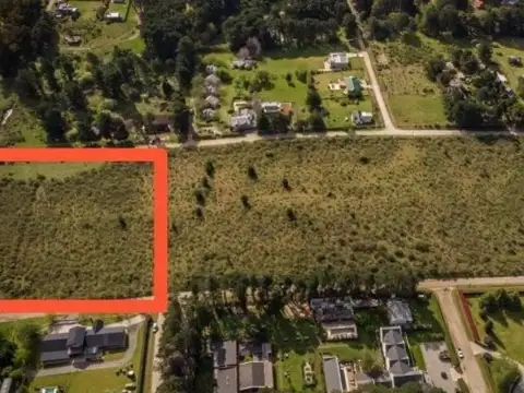 Cereseto y Spegazzini