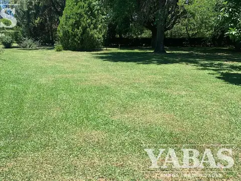 Campo - San Pedro