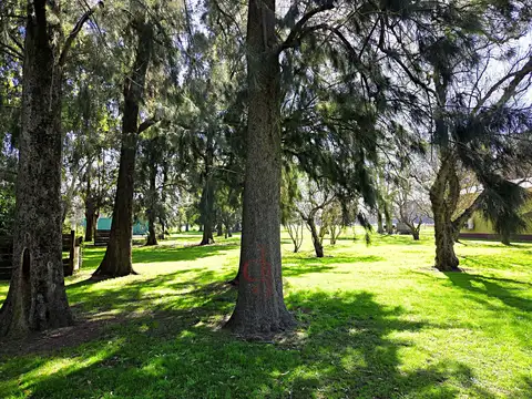 Terreno en Venta de 768,0 m2