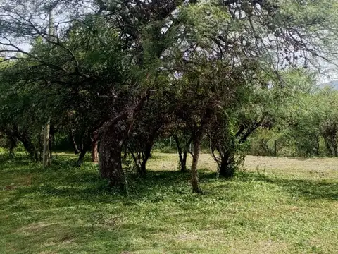 Lote Céntrico en Villa de Merlo! Arbolados!! Financiado