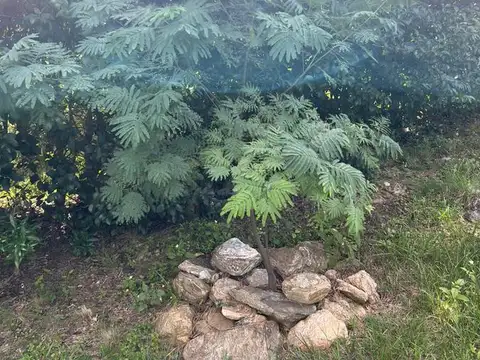 Terreno en Venta en Rincon Del Este, USD 46.000