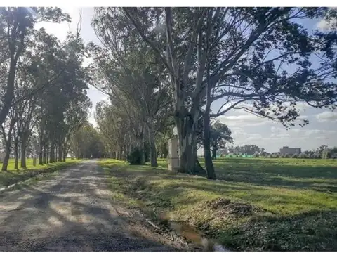 Ruta 58 Km 18