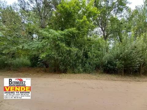  Venta Lote En Barrio Camino de De Santa Teresita, calle Álamos de primavera e/los Tilos y Bv. la Al