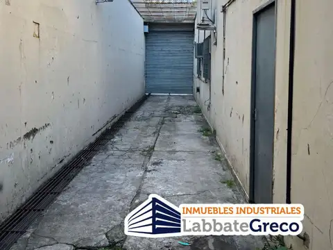 Arcadini