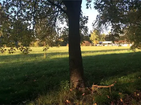 Terreno en Alquiler en Fátima Estación Empalme, USD 2.000