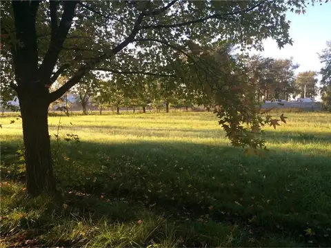 Terreno en Alquiler de 12848,0 m2