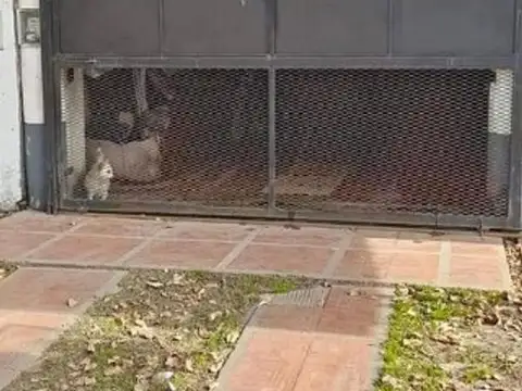 Casa en Venta con 4 cocheras