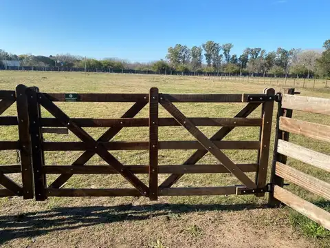 Aristóbulo del Valle 1300