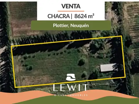 Venta Chacra con tinglado | Lote 8.624m² | Plottier