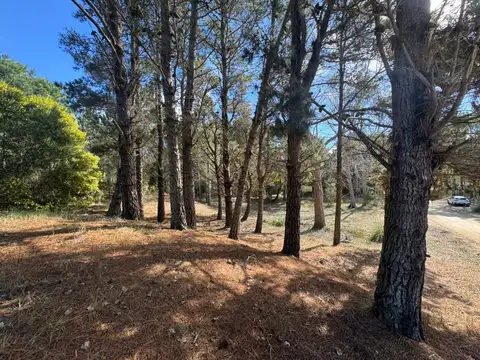 Terreno en Venta en Villarobles, USD 54.000