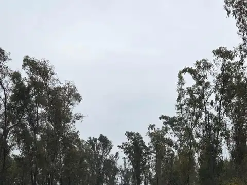 Terreno en Venta 12  mts Frente