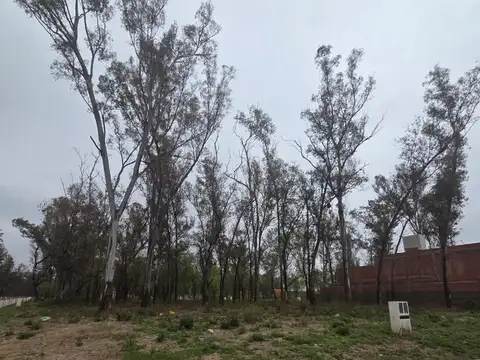 Terreno en Venta 21  mts Fondo