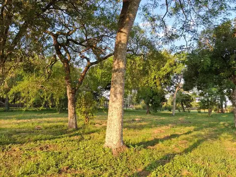 Terreno en Venta de 1886,0 m2