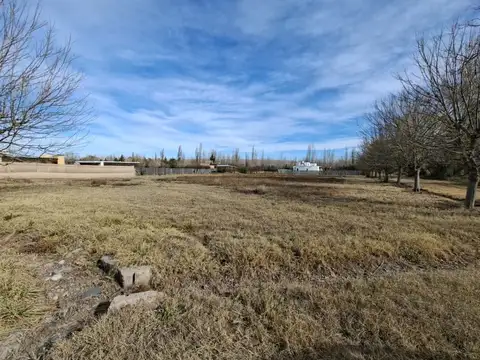 Terreno en Venta de 791,0 m2